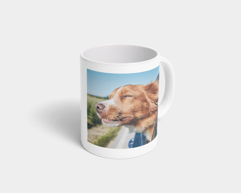 Uma caneca com a foto de um cão