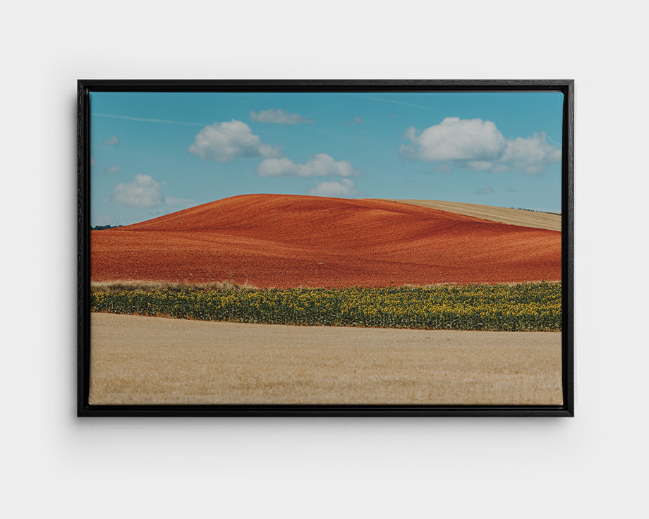 Uma tela emoldurada com a imagem de uma paisagem de verão