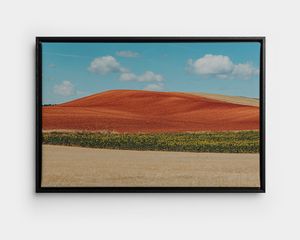 Uma tela emoldurada com a imagem de uma paisagem de verão