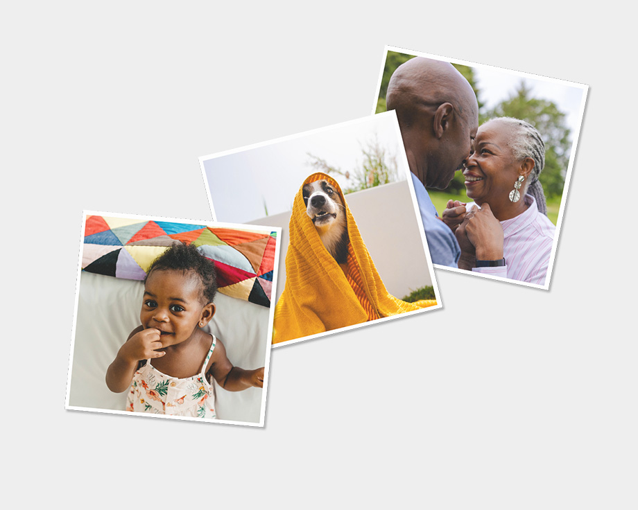 Três ímanes com fotos de um cão e da família