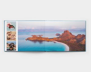 Fotos distribuídas num livro panorâmico plano de capa dura