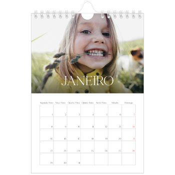 Calendário A5 — Doze meses grandes