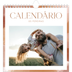 Calendário quadrado — Efeito de pincel [capa]