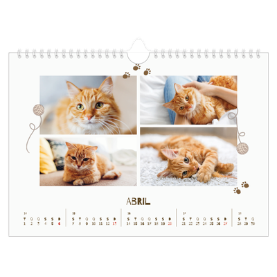 Calendário A4 horizontal — Gatinho brincalhão [Abril]