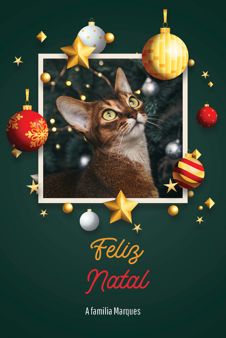 Cartões — Imaginando o Natal