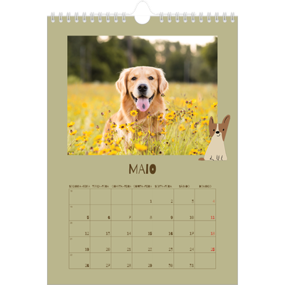 Calendário fotográfico A4 — Cãozinho brincalhão [capa]