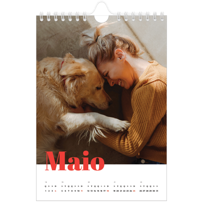 Calendário A5 — Um ano audacioso [capa]