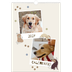Calendário A3 — Cãozinho brincalhão [capa]