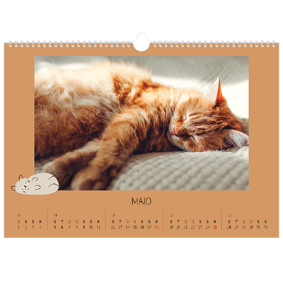 Calendário A3 Horizontal — Gatinho brincalhão [capa]