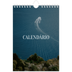 Calendário A5 — Escapadinha infinita [capa]