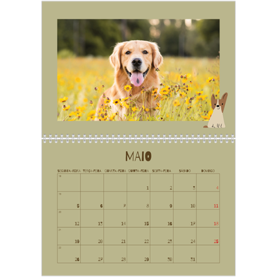 Calendário A4 duplo — Cãozinho brincalhão [capa]