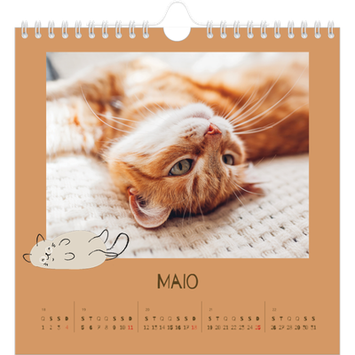 Calendário quadrado — Gatinho brincalhão [capa]