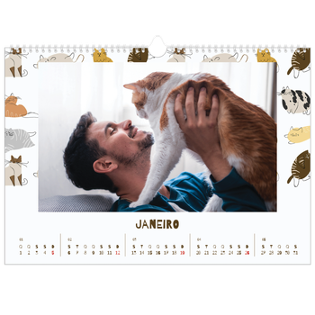 Calendário fotográfico horizontal A3 — Gatinho brincalhão
