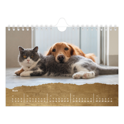 Calendário A5 horizontal — Classic Gold [capa]