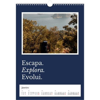 Calendário A3 — Terra editorial [Janeiro]