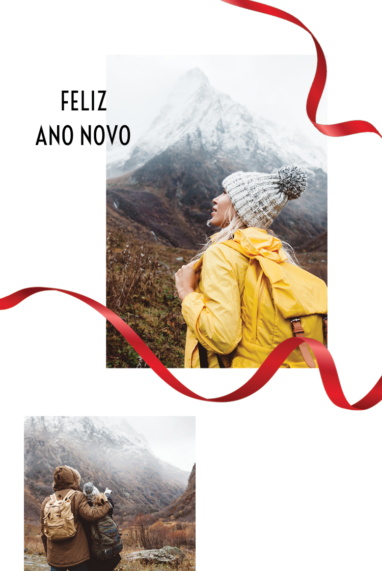 Cartões — inverno nórdico