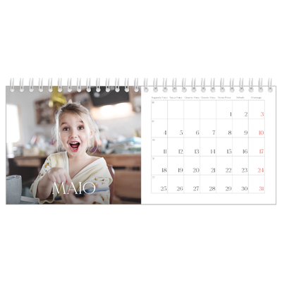 Calendários de mesa — Doze meses grandes [capa]