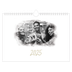 Calendário A4 horizontal — Efeitos fotográficos [capa]
