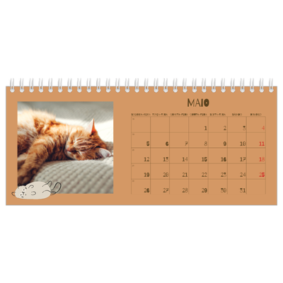 Calendários de mesa — Gatinho brincalhão [capa]