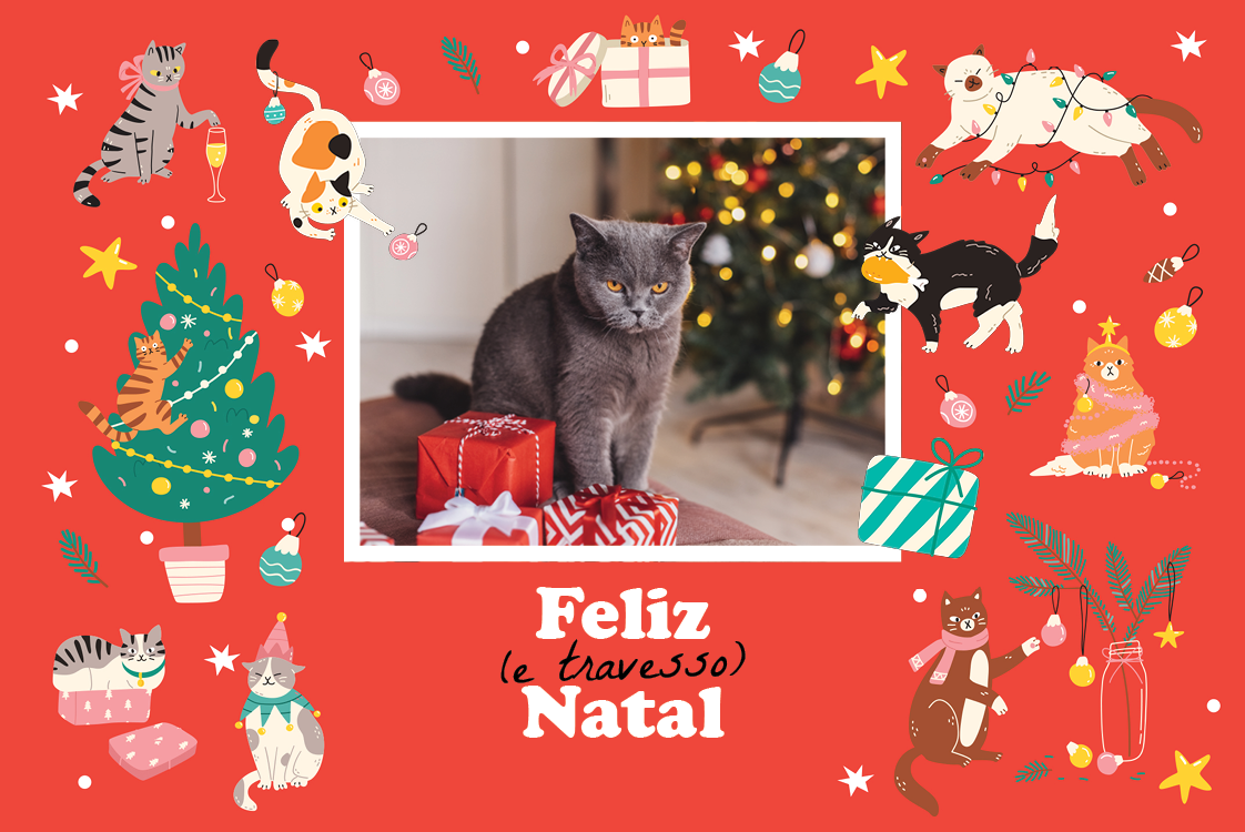 Cartões — Gato travesso