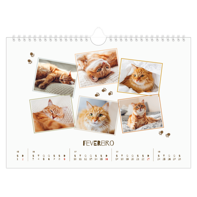 Calendário A4 horizontal — Gatinho brincalhão [Fevereiro]