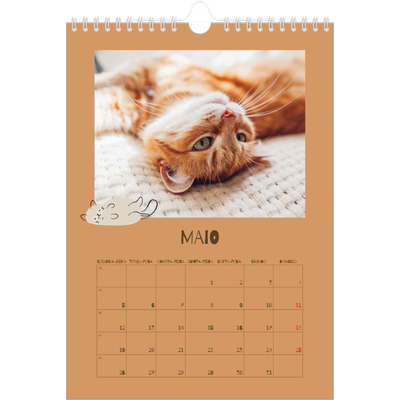 Calendário fotográfico A4 — Gatinho brincalhão [capa]