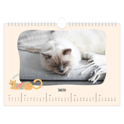 Calendário A4 horizontal — Patas de gato e garatujas [Janeiro]