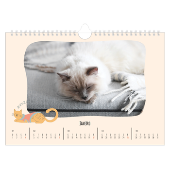 Calendário de Fotografias A4 Paisagem — Patas de gato e garatujas