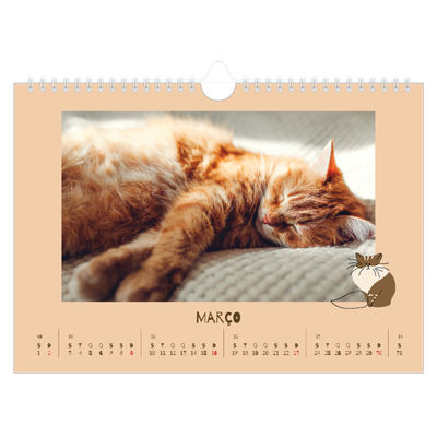 Calendário A4 horizontal — Gatinho brincalhão [Março]