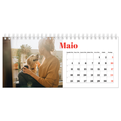 Calendários de mesa — Um ano audacioso [capa]