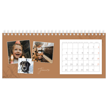 Calendário de Fotografias de Mesa — Com os pés no chão