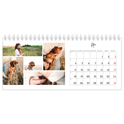 Calendários de mesa — Arranjos fotográficos [capa]