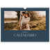 Calendário A3 Horizontal — Ardósia e serifas [capa]