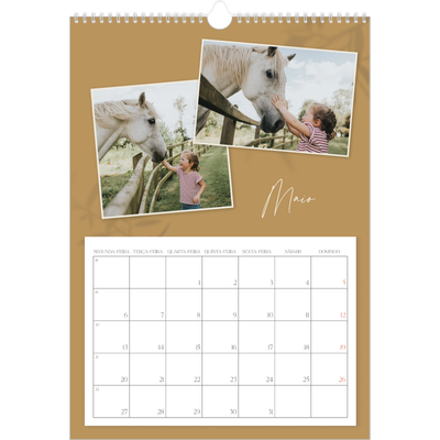 Calendário A3 — Com os pés no chão [capa]