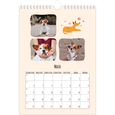 Calendário fotográfico A4 — Patas de cão e garatujas [capa]