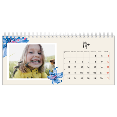 Calendários de mesa — Flores pintadas [capa]