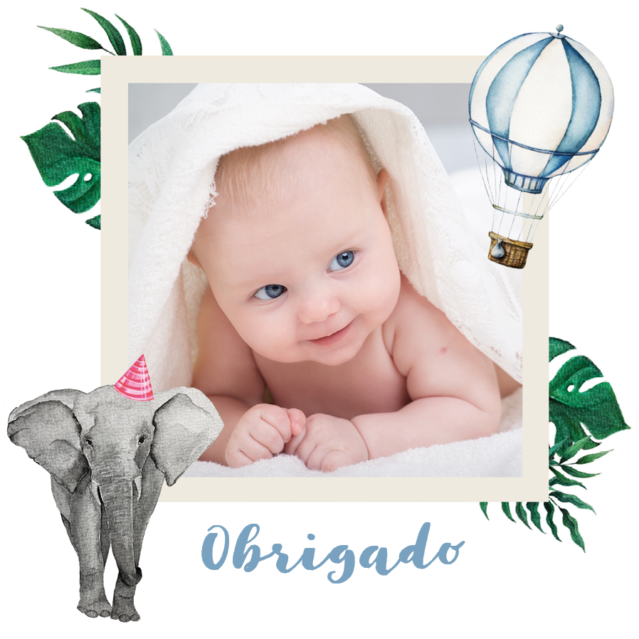 Cartões de agradecimento — Animais em aguarela