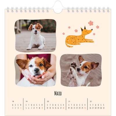 Calendário quadrado — Patas de cão e garatujas [capa]