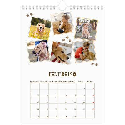 Calendário fotográfico A4 — Cãozinho brincalhão [Fevereiro]