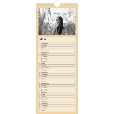 Calendário fino  — Cores nórdicas [capa]