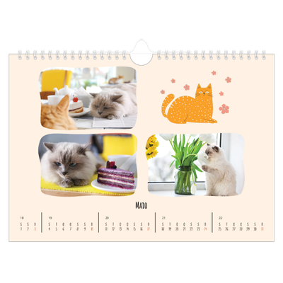 Calendário A4 horizontal — Patas de gato e garatujas [capa]