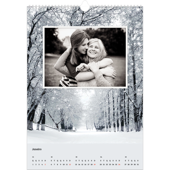 Calendário fotográfico A3 — Quatro estações