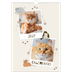 Calendário A3 — Gatinho brincalhão [capa]
