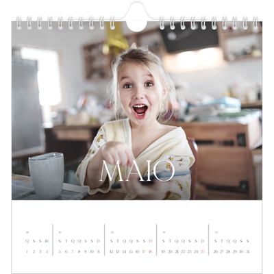 Calendário quadrado — Doze meses grandes [capa]