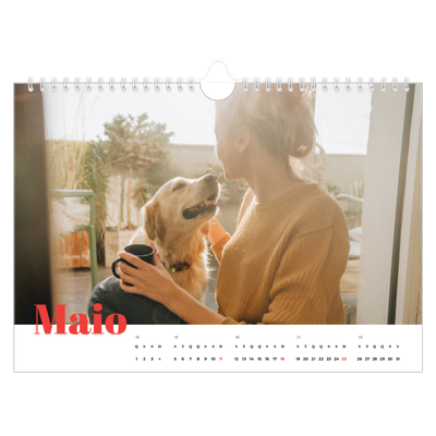 Calendário A4 horizontal — Um ano audacioso [capa]