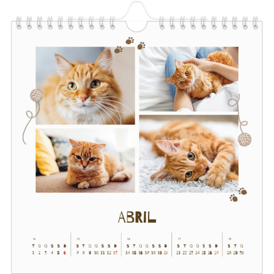 Calendário quadrado — Gatinho brincalhão [Abril]
