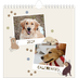 Calendário quadrado — Cãozinho brincalhão [capa]