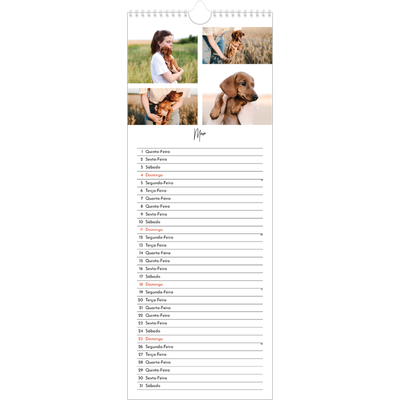 Calendário fino  — Arranjos fotográficos [capa]