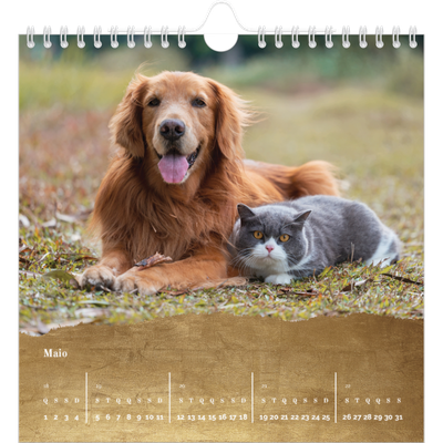 Calendário quadrado — Classic Gold [capa]