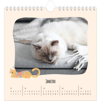 Calendário fotográfico quadrado — Patas de gato e garatujas